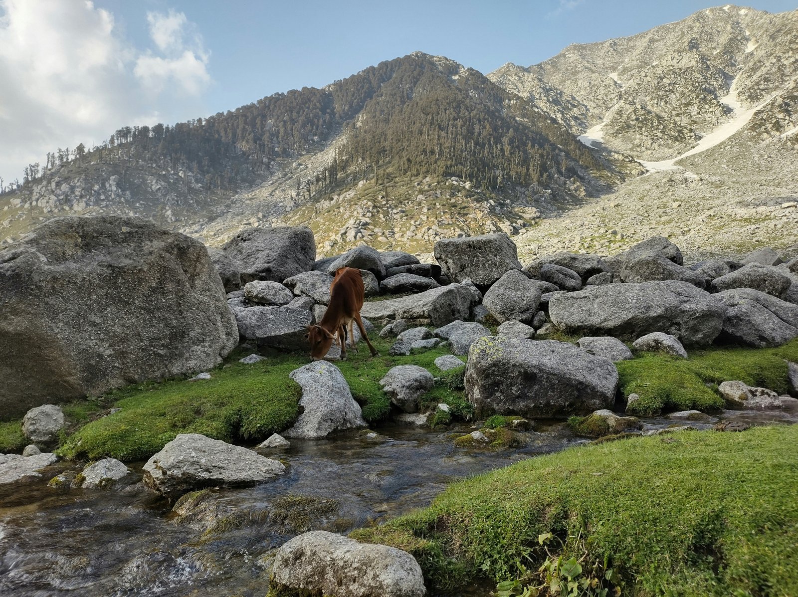 Scenic beauty of Himachal Pradesh
