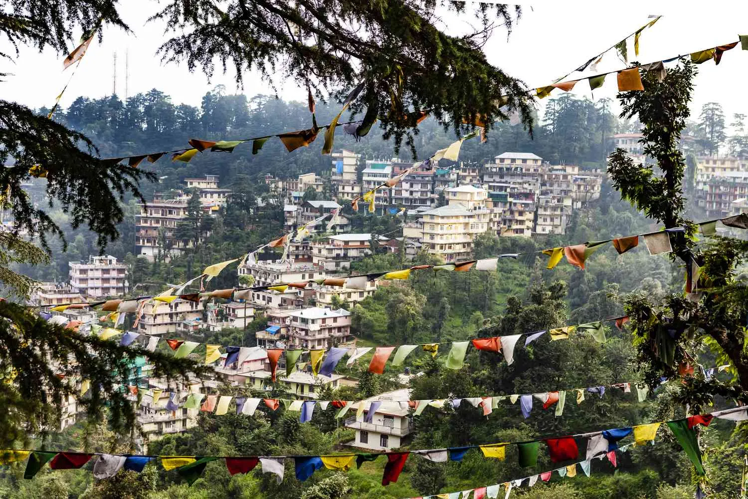 Shimla Manali - Dalhousie Tour Package tour package